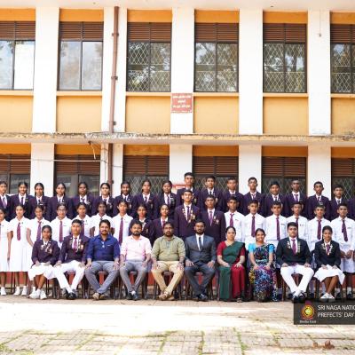 462774162 833084875706110 3297849788302234176 N