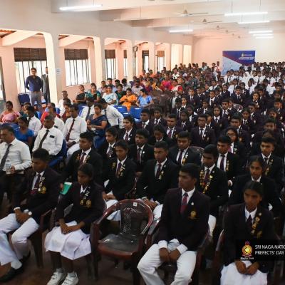 462804600 833082855706312 9040045239562581978 N