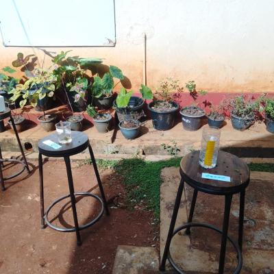 Whatsapp Image 2025 01 06 At 2.46.20 Pm 1