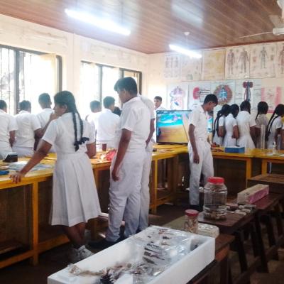 Whatsapp Image 2025 01 06 At 2.46.25 Pm