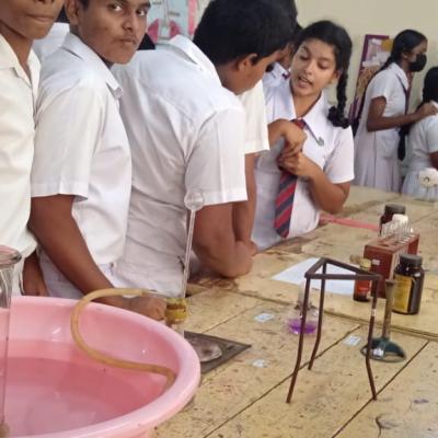 2023 නොවැම්බර් 15 හා 16 යන දෙදින පුරා ශ්‍රී නාග ජාතික පාසලේ වාර්ෂික විද්‍යා ප්‍රායෝගික ප්‍රදර්ශනය විද්‍යාලයේ 11 ශ්‍රේණියේ සිසු දරුවන් විසින් ඉතා සාර්ථකව පවත්වනු ලැබිණි.